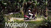 A Motherly Alliance to Improve Nutrition ...